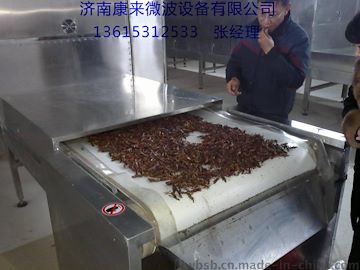 蝗虫烘干设备,蝗虫干燥设备，蝗虫烘干膨化设备