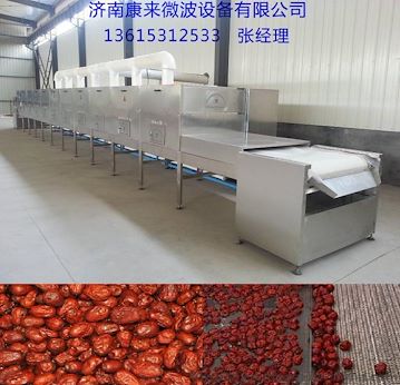 新疆大枣烘干设备,大枣生产线,红枣烘干杀菌机
